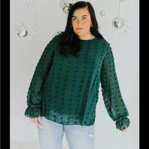 (5) NWOT Swiss dot sheer  long sleeve blouse